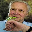 The Ignorance of Anti-human David Attenborough